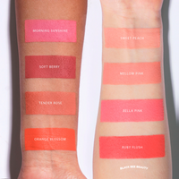 SIGNATURE OMBRE BLUSH