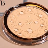 SOFT FOCUS WATERPROOF SETTING POWDER