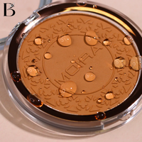 SOFT FOCUS WATERPROOF SETTING POWDER