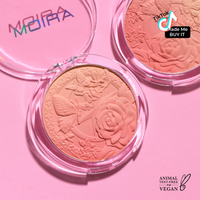 SIGNATURE OMBRE BLUSH