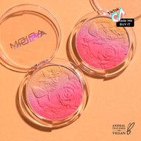SIGNATURE OMBRE BLUSH