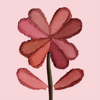LUCKY CHANCE BLUSH