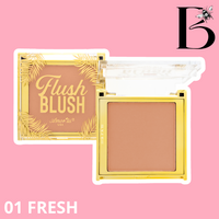 FLUSH BLUSH