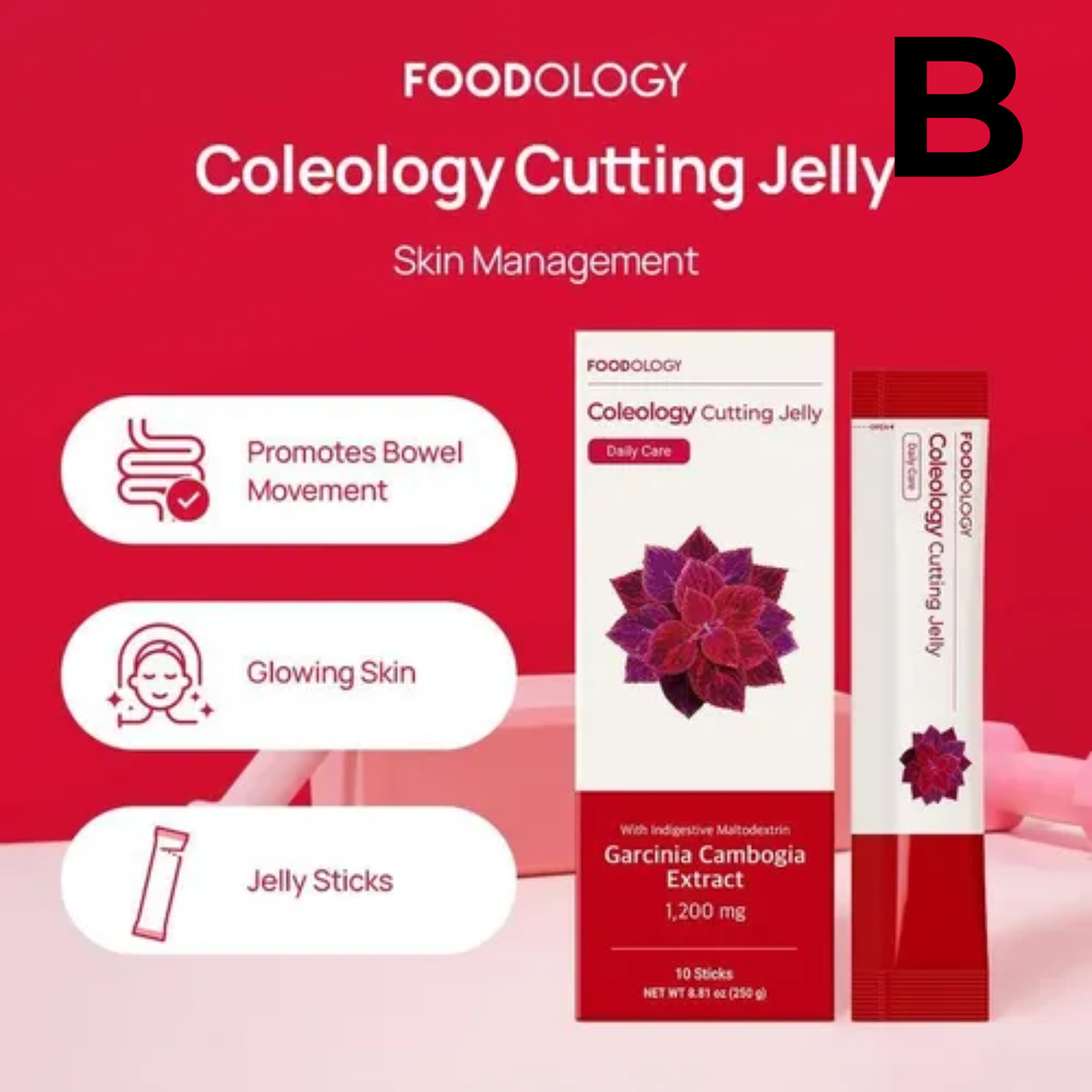 Coleology Cutting Jelly