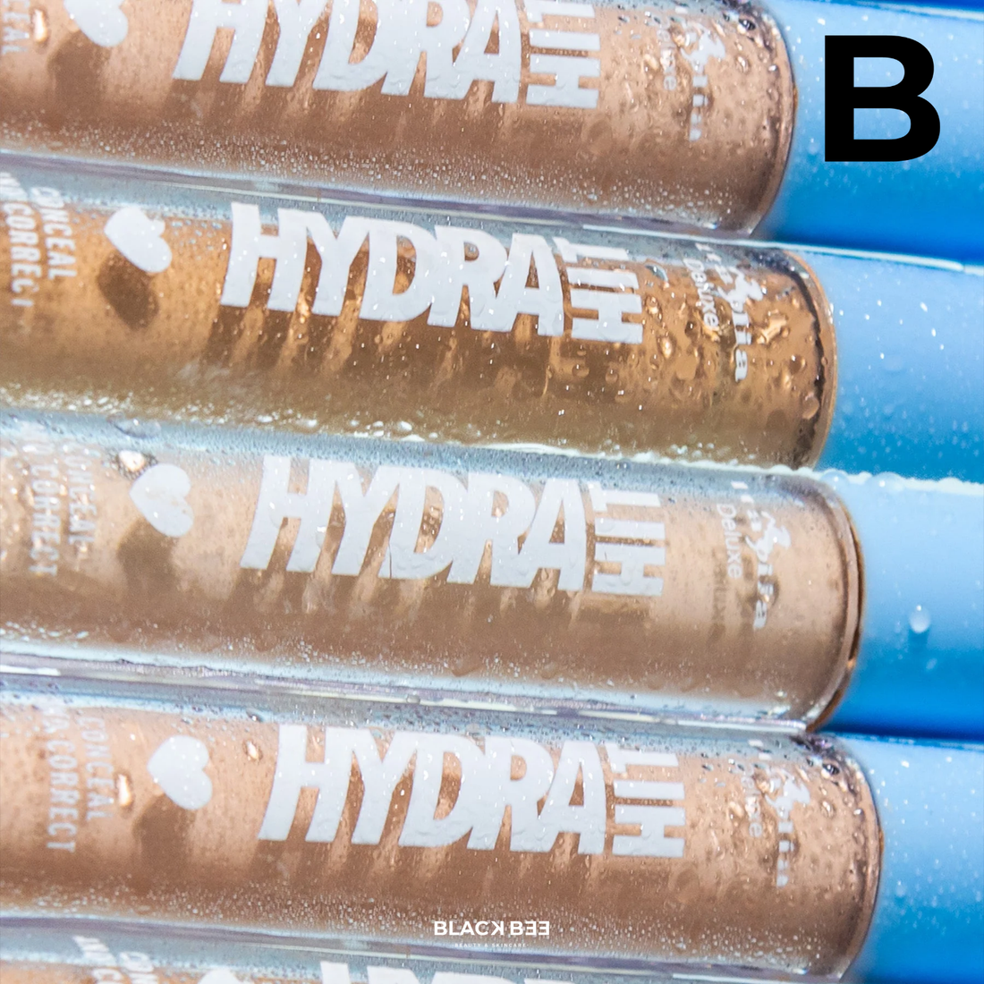 HydraHit Correct and Conceal