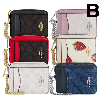 Zip Card Case In Colorblock PREVENTA
