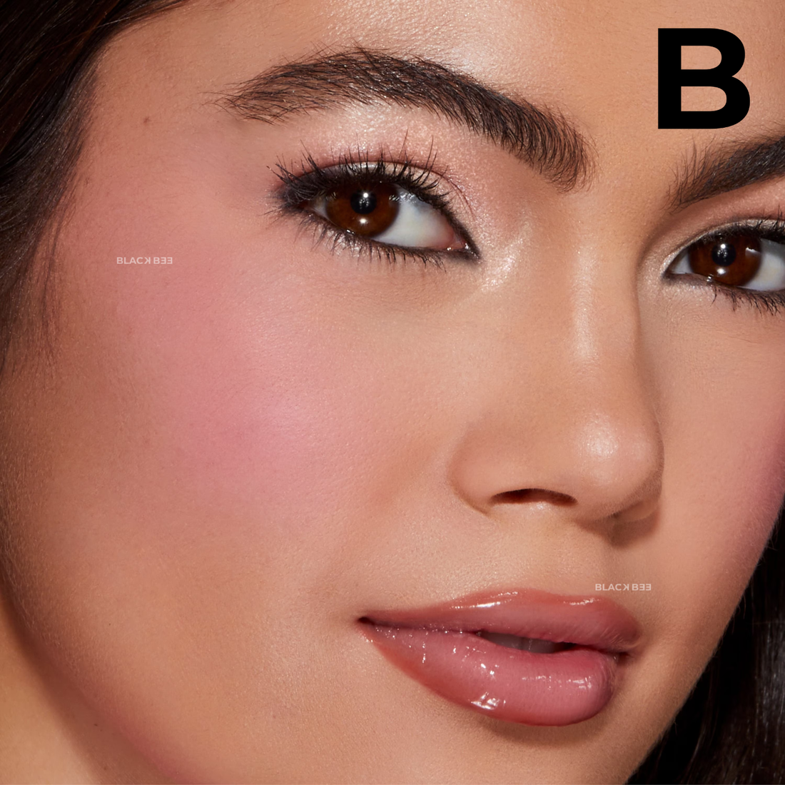 Dream A Little Dream: Blush & Lip Gloss Set **PREVENTA**