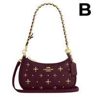 Teri Mini Crossbody Bag OUTLET (AUN SIN EXTRAS) **PREVENTA**