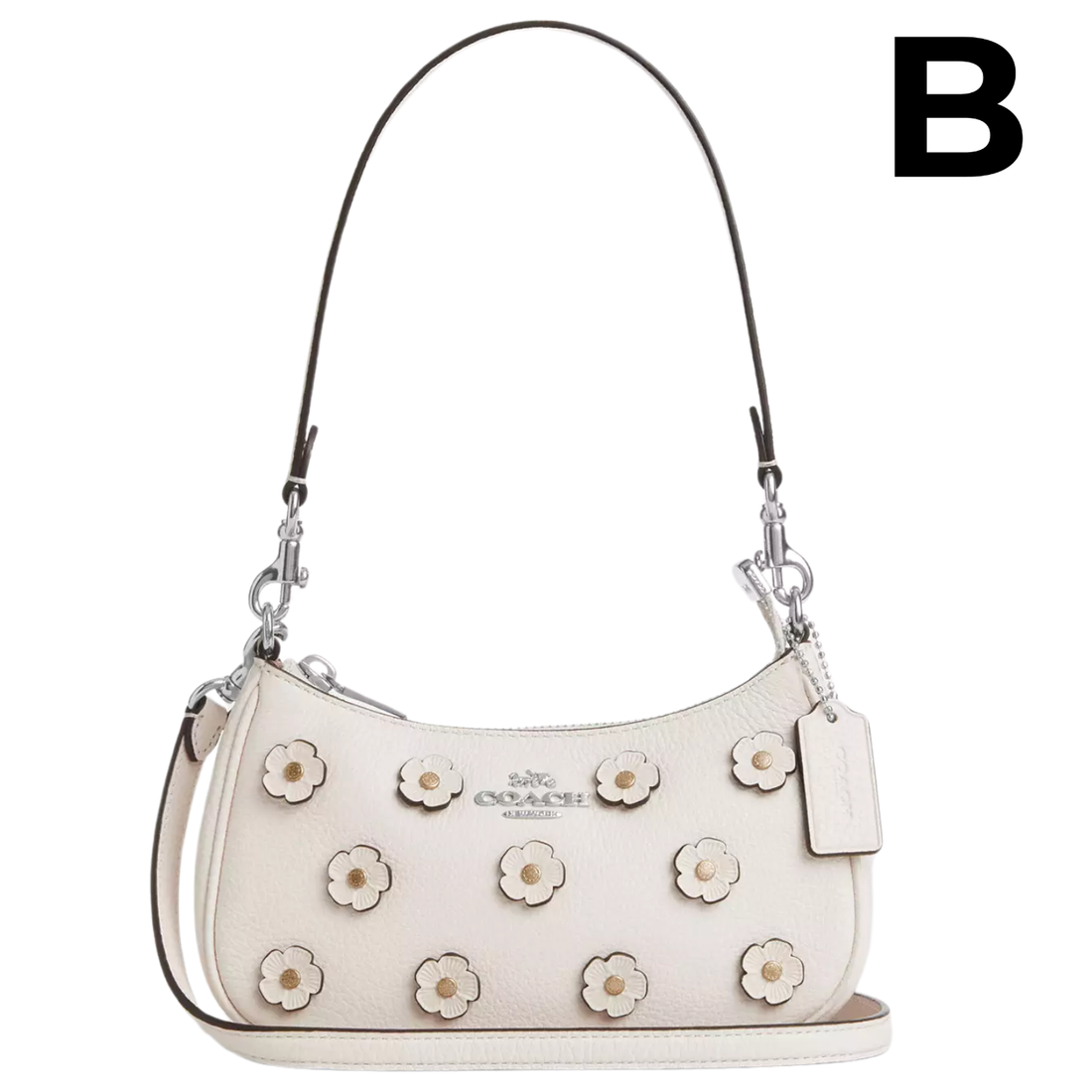 Teri Mini Crossbody Bag OUTLET (AUN SIN EXTRAS) **PREVENTA**