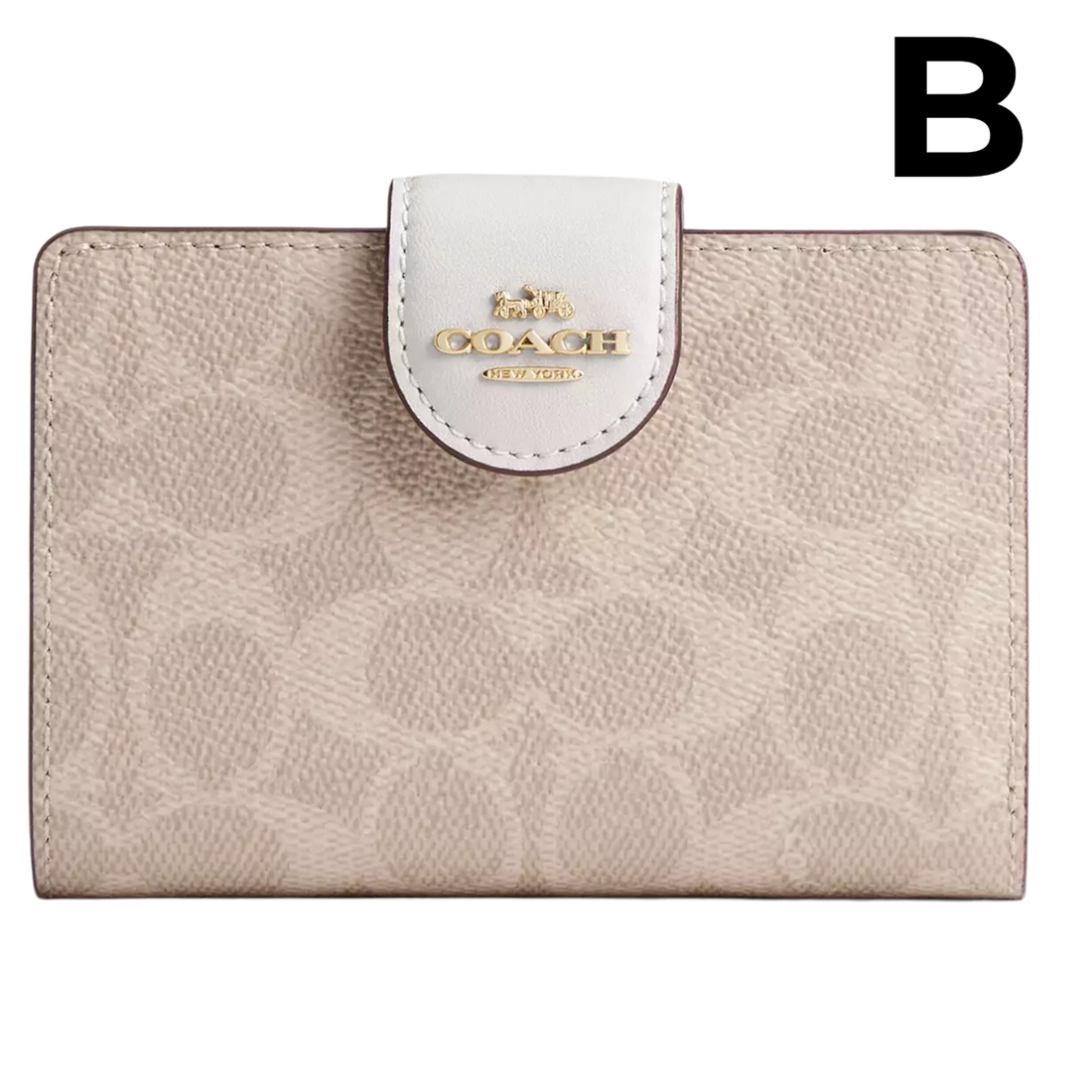 Medium Corner Zip Wallet PREVENTA OUTLET (AUN SIN EXTRAS)