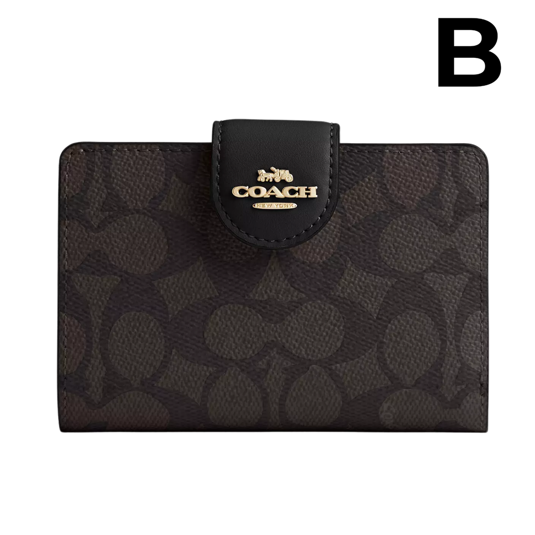 Medium Corner Zip Wallet PREVENTA OUTLET (AUN SIN EXTRAS)