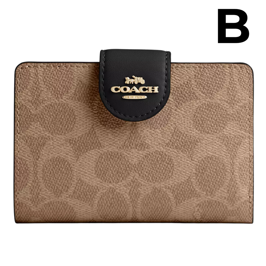 Medium Corner Zip Wallet PREVENTA OUTLET (AUN SIN EXTRAS)