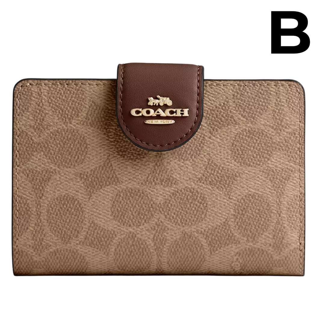 Medium Corner Zip Wallet PREVENTA OUTLET (AUN SIN EXTRAS)