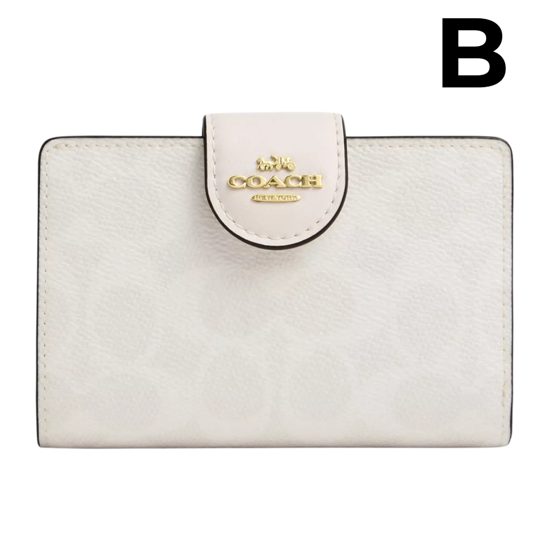 Medium Corner Zip Wallet PREVENTA OUTLET (AUN SIN EXTRAS)