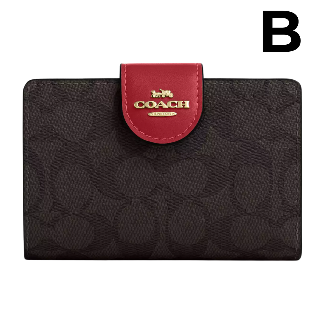 Medium Corner Zip Wallet PREVENTA OUTLET (AUN SIN EXTRAS)