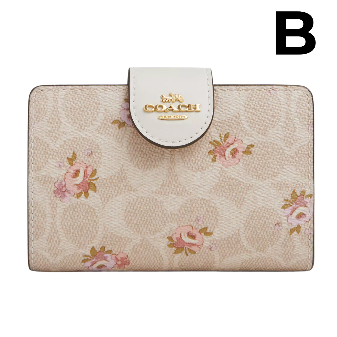 Medium Corner Zip Wallet PREVENTA OUTLET (AUN SIN EXTRAS)