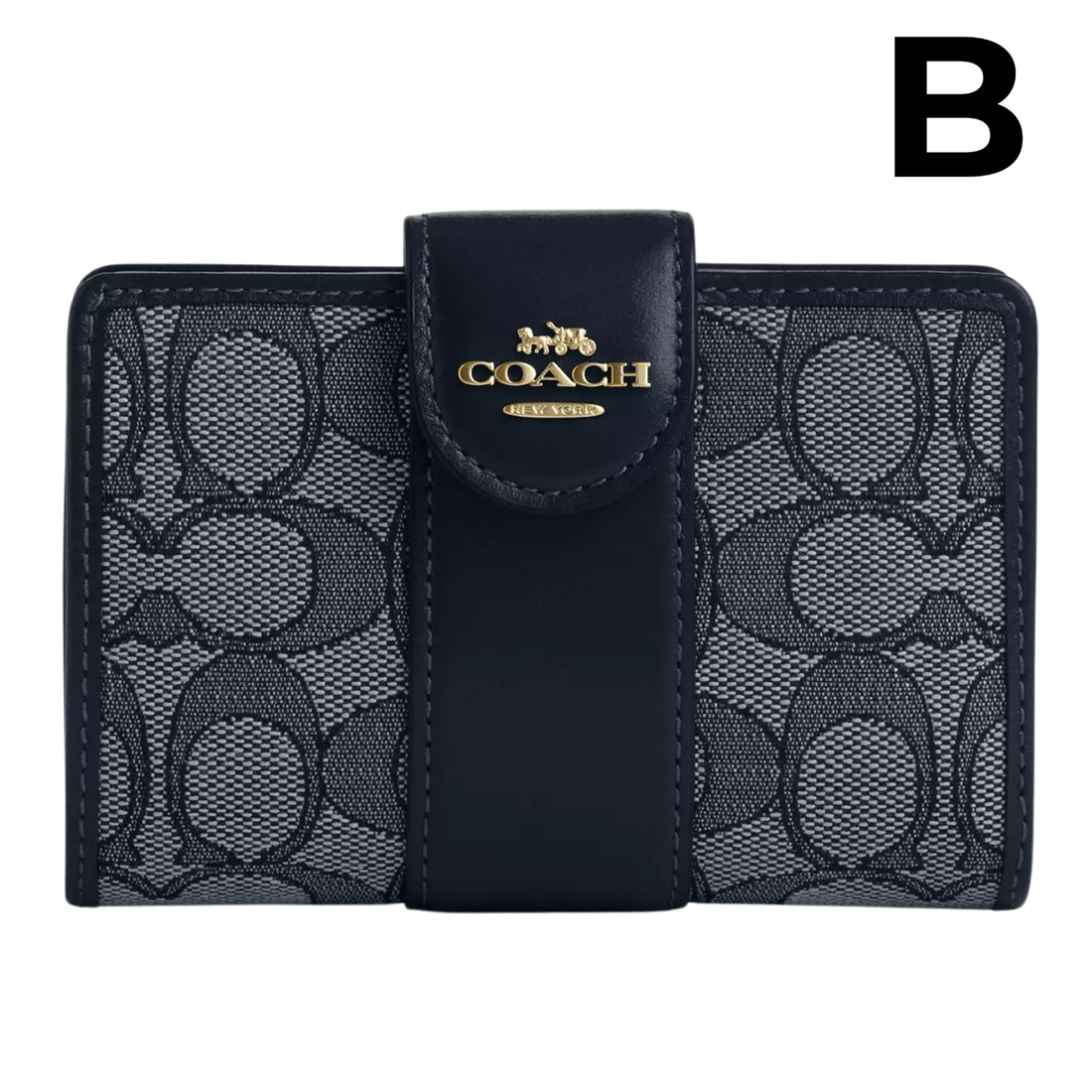 Medium Corner Zip Wallet PREVENTA OUTLET (AUN SIN EXTRAS)